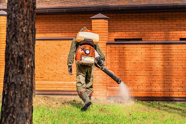 Trusted Mosquito Control service in South Laurel, MD - Nex Pest Control